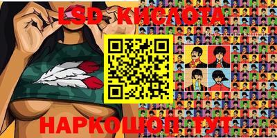 стаф Камышлов